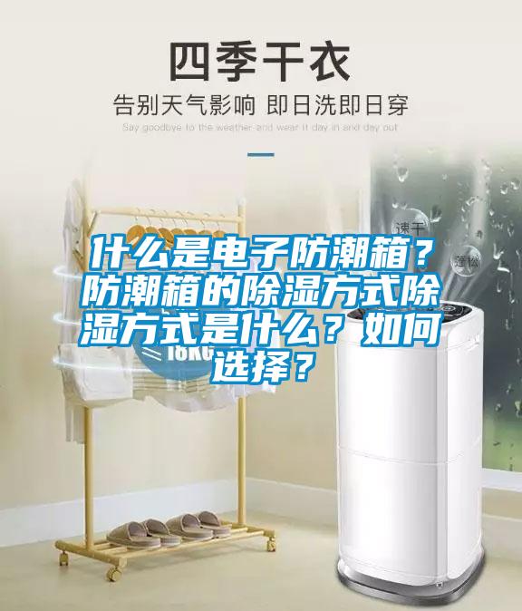 什么是電子防潮箱？防潮箱的除濕方式除濕方式是什么？如何選擇？