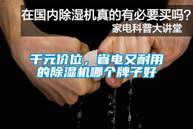 千元價位，省電又耐用的除濕機哪個牌子好