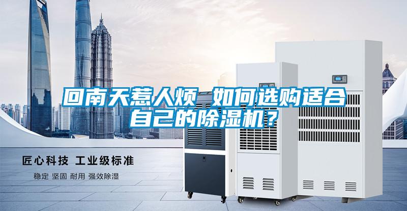 回南天惹人煩 如何選購適合自己的除濕機？