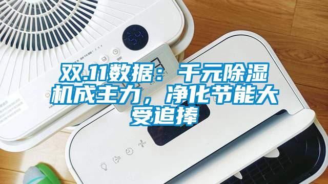 雙.11數(shù)據(jù)：千元除濕機(jī)成主力，凈化節(jié)能大受追捧