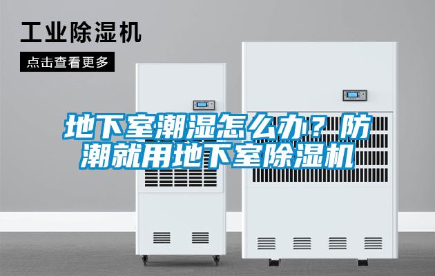 地下室潮濕怎么辦？防潮就用地下室除濕機(jī)