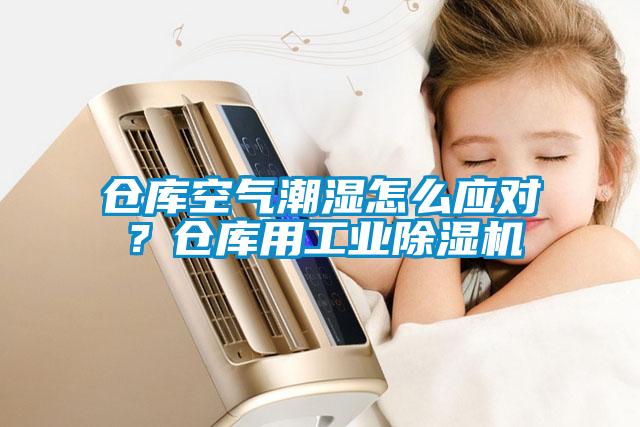 倉庫空氣潮濕怎么應(yīng)對(duì)？倉庫用工業(yè)除濕機(jī)