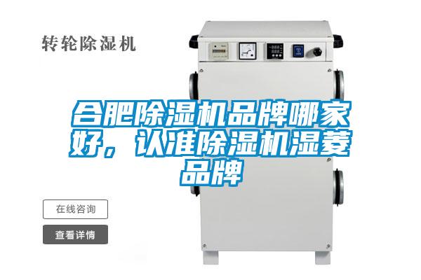 合肥除濕機(jī)品牌哪家好，認(rèn)準(zhǔn)除濕機(jī)濕菱品牌