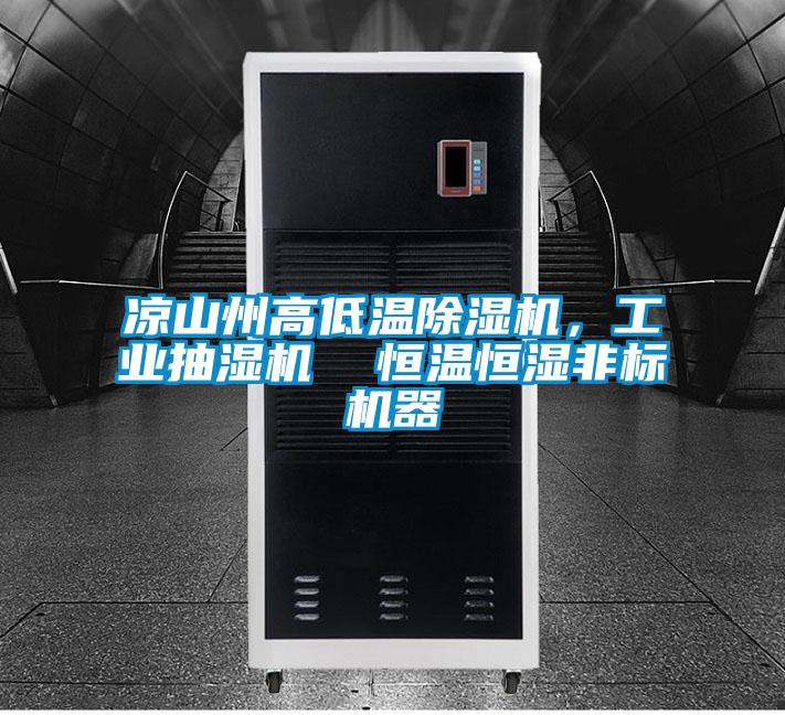 涼山州高低溫除濕機(jī)，工業(yè)抽濕機(jī)  恒溫恒濕非標(biāo)機(jī)器