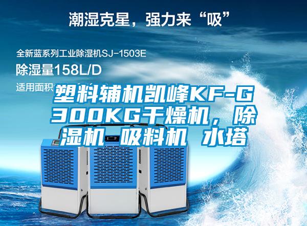 塑料輔機凱峰KF-G300KG干燥機，除濕機 吸料機 水塔
