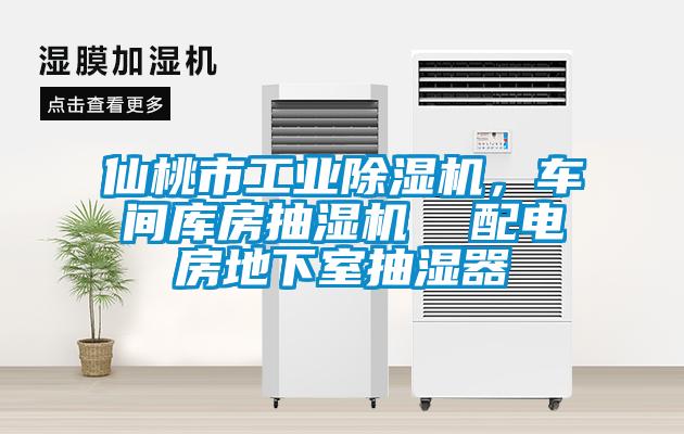 仙桃市工業(yè)除濕機(jī)，車間庫房抽濕機(jī)  配電房地下室抽濕器
