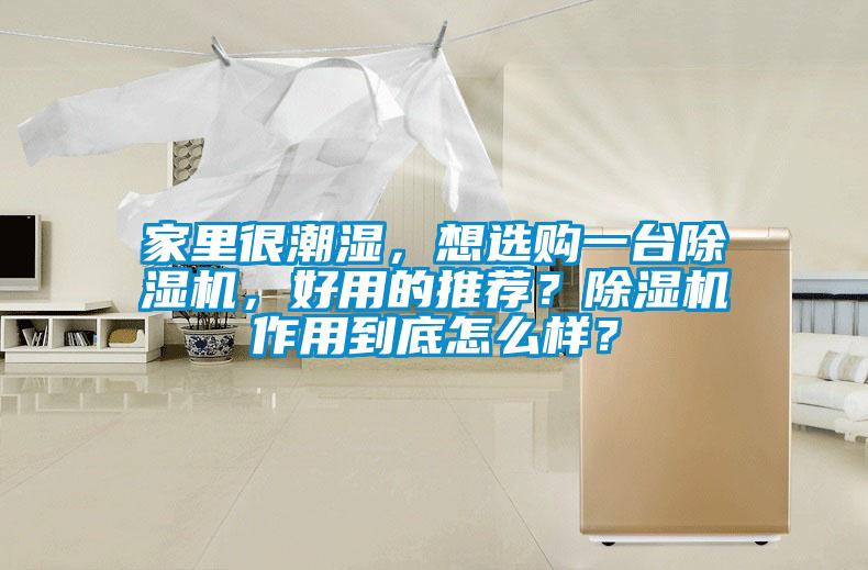 家里很潮濕，想選購一臺(tái)除濕機(jī)，好用的推薦？除濕機(jī)作用到底怎么樣？