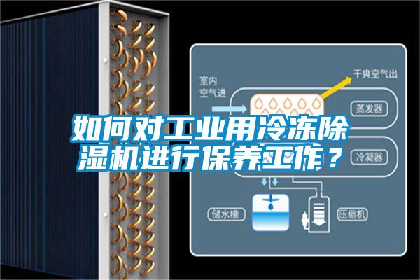 如何對工業(yè)用冷凍除濕機(jī)進(jìn)行保養(yǎng)工作？