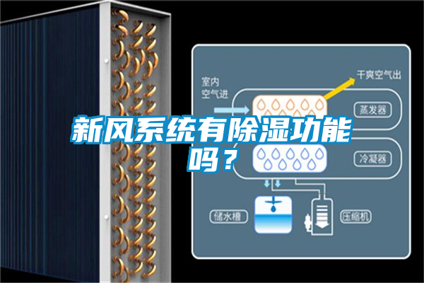 新風系統(tǒng)有除濕功能嗎？