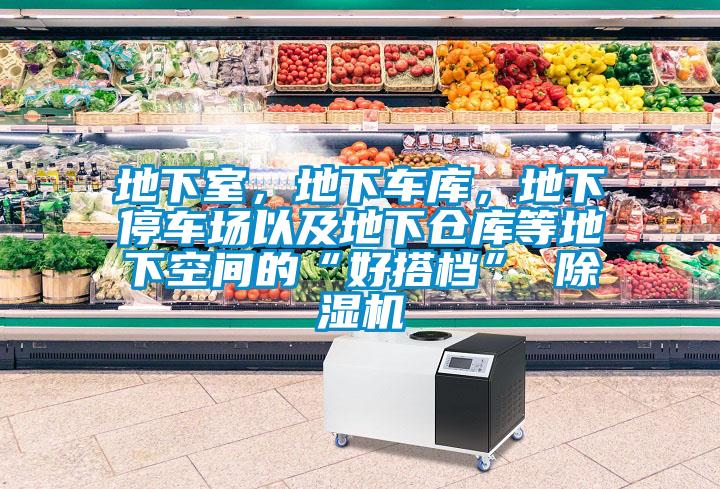地下室，地下車庫，地下停車場以及地下倉庫等地下空間的“好搭檔” 除濕機