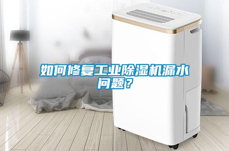 如何修復(fù)工業(yè)除濕機(jī)漏水問(wèn)題？