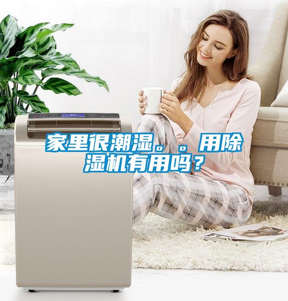 家里很潮濕。。用除濕機有用嗎？