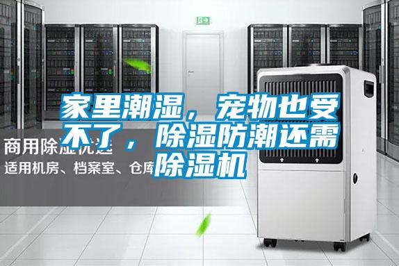 家里潮濕，寵物也受不了，除濕防潮還需除濕機(jī)