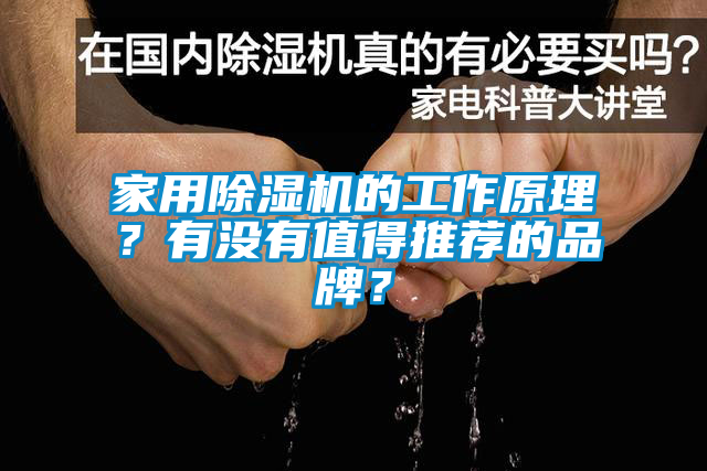 家用除濕機(jī)的工作原理？有沒(méi)有值得推薦的品牌？