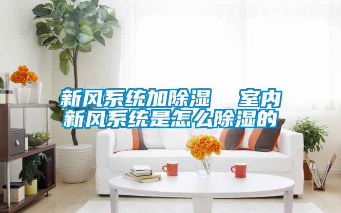 新風系統(tǒng)加除濕  室內新風系統(tǒng)是怎么除濕的