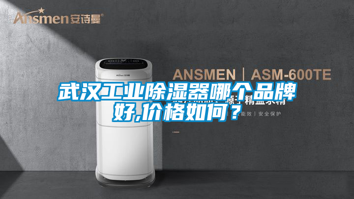 武漢工業(yè)除濕器哪個品牌好,價格如何？