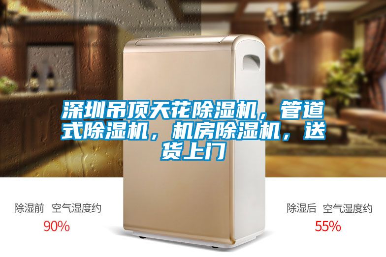 深圳吊頂天花除濕機(jī)，管道式除濕機(jī)，機(jī)房除濕機(jī)，送貨上門