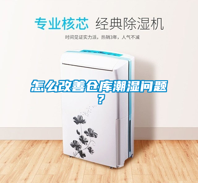 怎么改善倉庫潮濕問題？