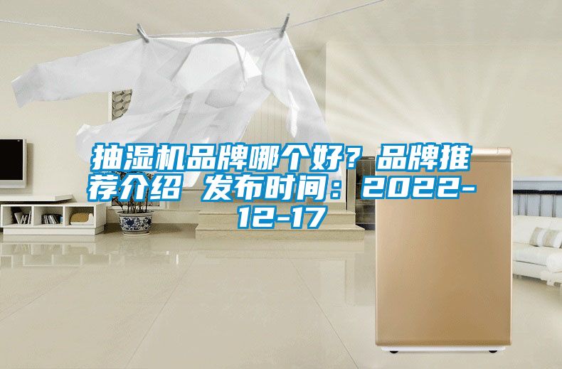 抽濕機(jī)品牌哪個(gè)好？品牌推薦介紹 發(fā)布時(shí)間：2022-12-17