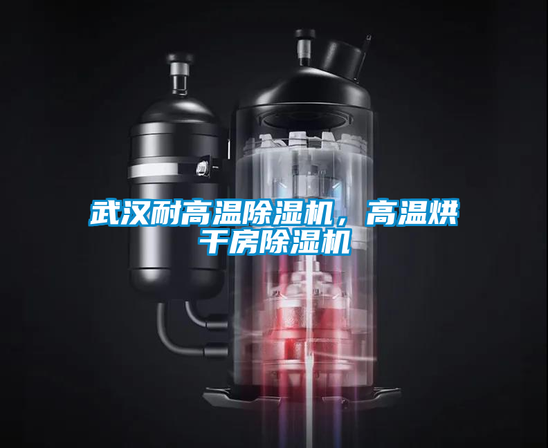 武漢耐高溫除濕機(jī)，高溫烘干房除濕機(jī)