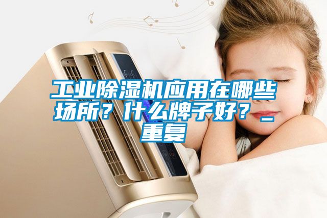 工業(yè)除濕機(jī)應(yīng)用在哪些場(chǎng)所？什么牌子好？_重復(fù)