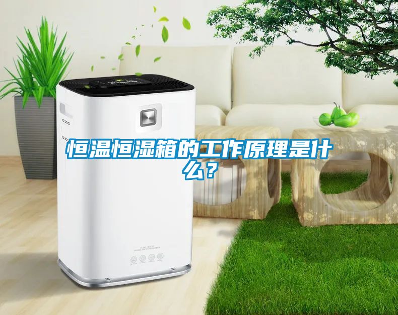 恒溫恒濕箱的工作原理是什么？