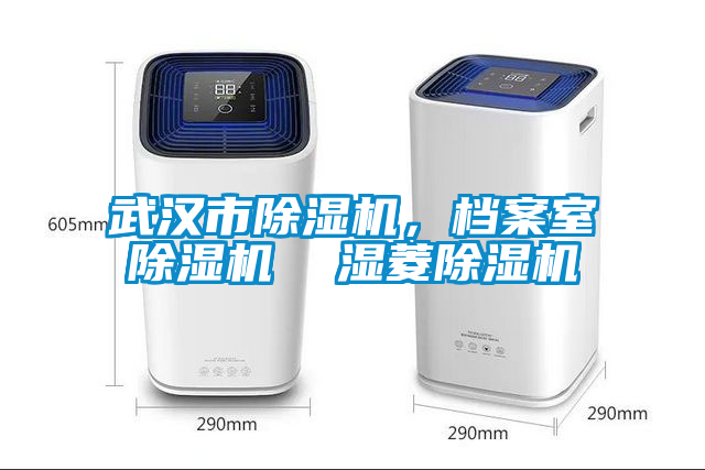 武漢市除濕機，檔案室除濕機  濕菱除濕機
