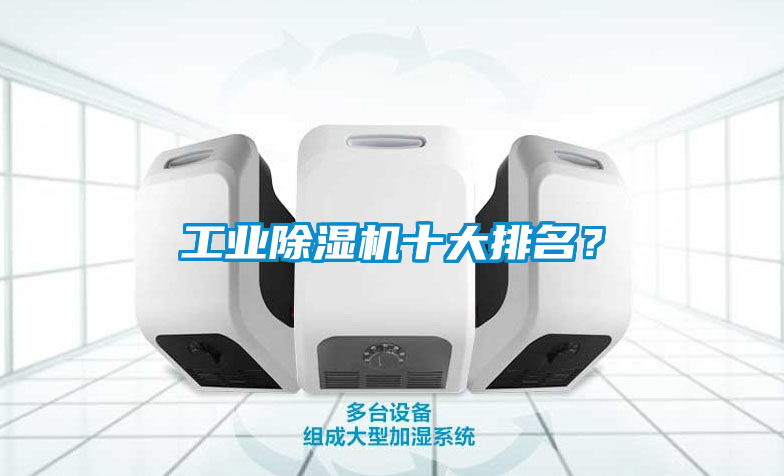 工業(yè)除濕機(jī)十大排名？