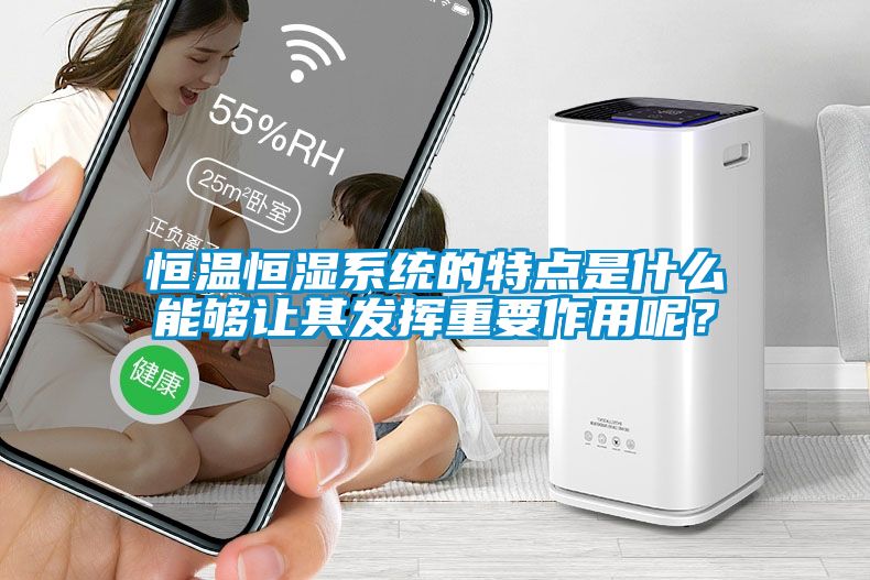 恒溫恒濕系統(tǒng)的特點(diǎn)是什么能夠讓其發(fā)揮重要作用呢？