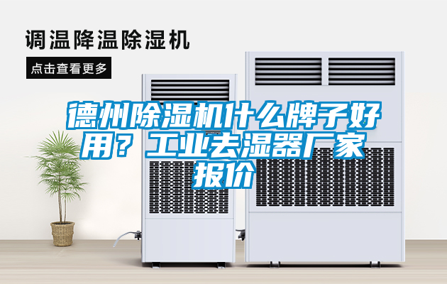 德州除濕機什么牌子好用？工業(yè)去濕器廠家報價