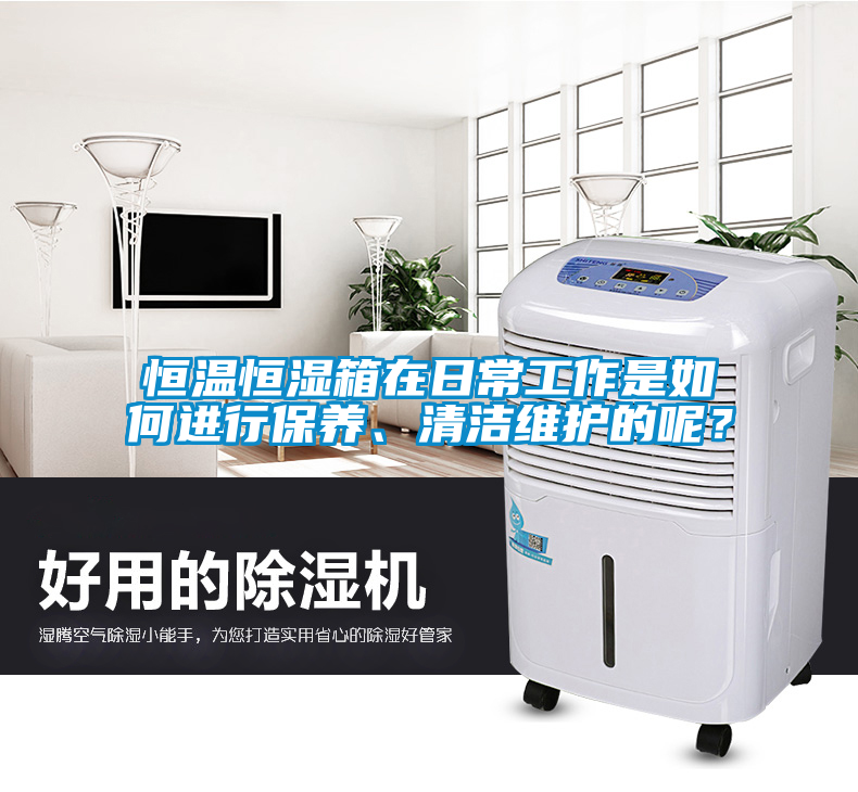 恒溫恒濕箱在日常工作是如何進行保養(yǎng)、清潔維護的呢？