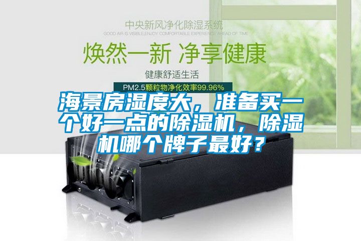 海景房濕度大，準(zhǔn)備買一個(gè)好一點(diǎn)的除濕機(jī)，除濕機(jī)哪個(gè)牌子最好？