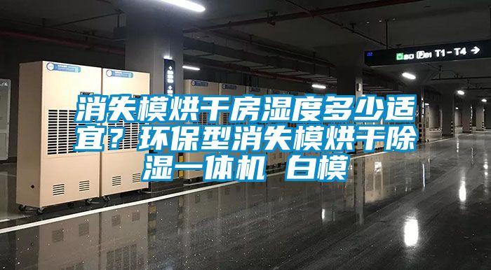 消失模烘干房濕度多少適宜？環(huán)保型消失模烘干除濕一體機(jī) 白模