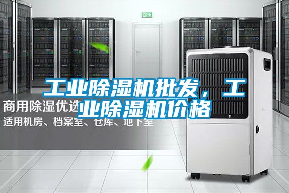 工業(yè)除濕機(jī)批發(fā)，工業(yè)除濕機(jī)價(jià)格
