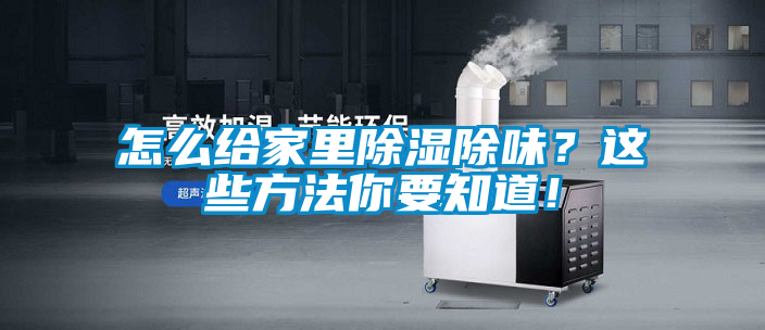 怎么給家里除濕除味？這些方法你要知道！
