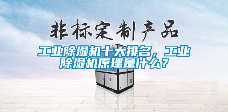 工業(yè)除濕機十大排名，工業(yè)除濕機原理是什么？