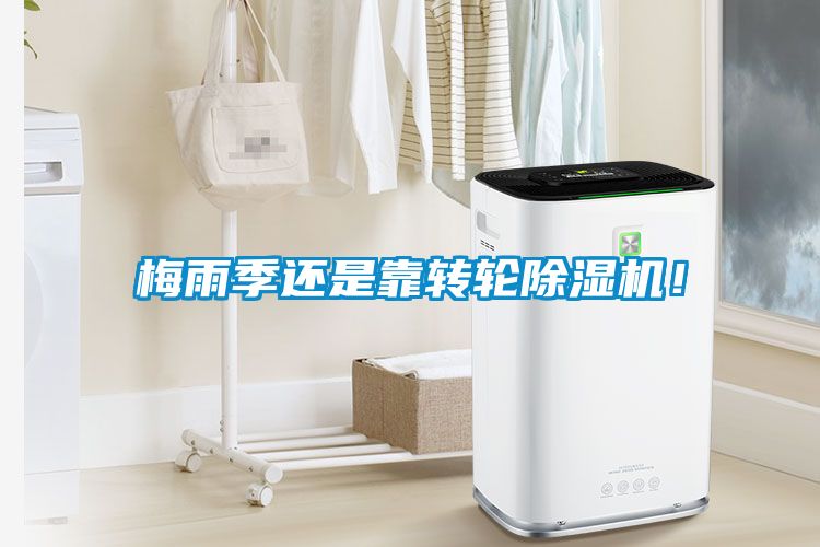 梅雨季還是靠轉(zhuǎn)輪除濕機(jī)！