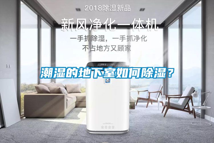 潮濕的地下室如何除濕？