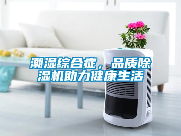 潮濕綜合癥，品質(zhì)除濕機(jī)助力健康生活
