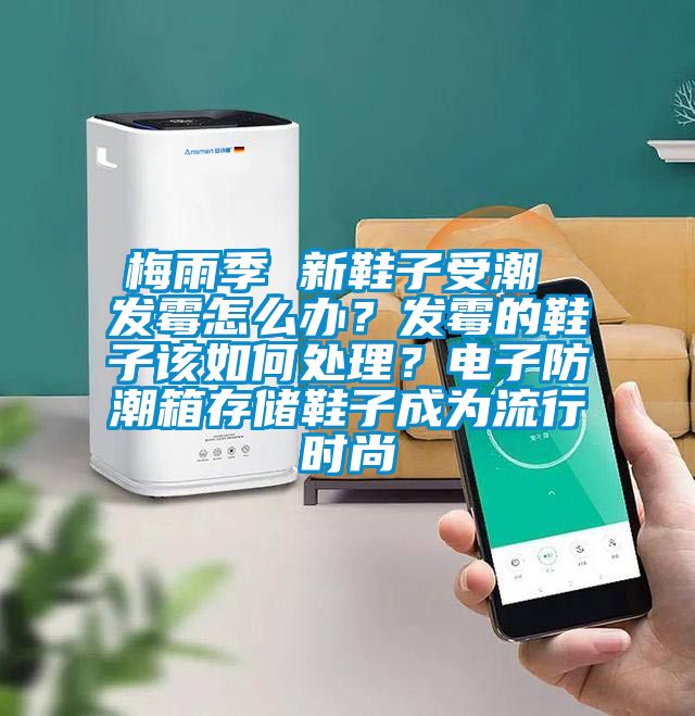 梅雨季 新鞋子受潮 發(fā)霉怎么辦？發(fā)霉的鞋子該如何處理？電子防潮箱存儲鞋子成為流行時尚