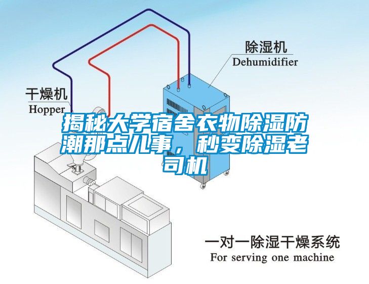 揭秘大學(xué)宿舍衣物除濕防潮那點(diǎn)兒事，秒變除濕老司機(jī)