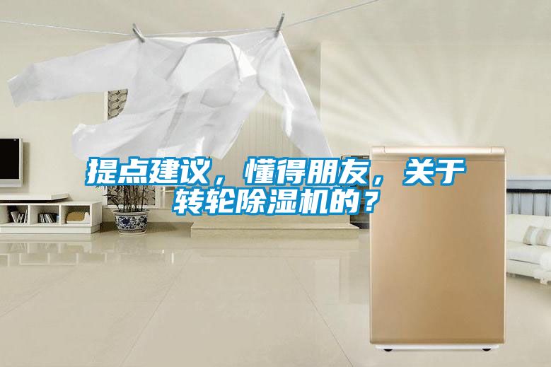 提點(diǎn)建議，懂得朋友，關(guān)于轉(zhuǎn)輪除濕機(jī)的？