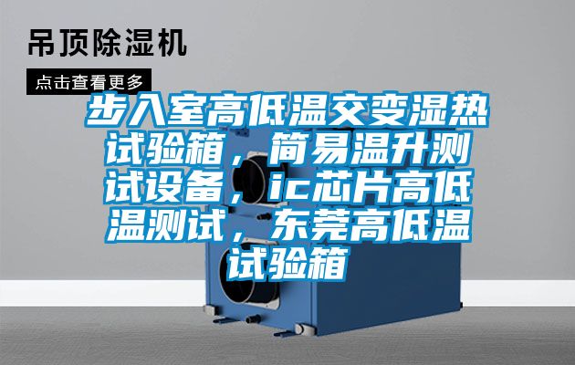 步入室高低溫交變濕熱試驗(yàn)箱，簡易溫升測(cè)試設(shè)備，ic芯片高低溫測(cè)試，東莞高低溫試驗(yàn)箱