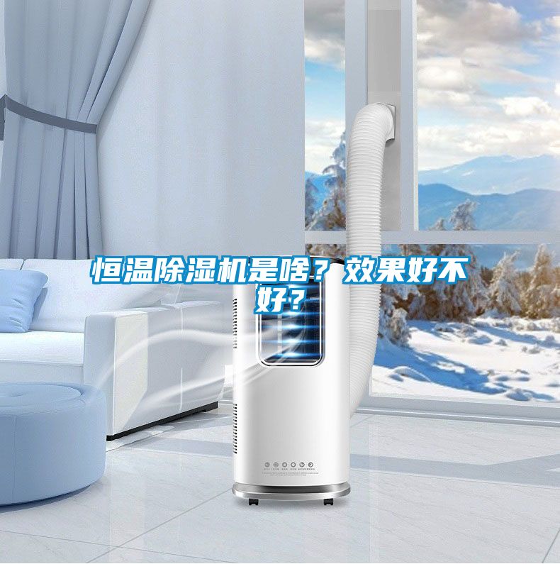 恒溫除濕機(jī)是啥？效果好不好？