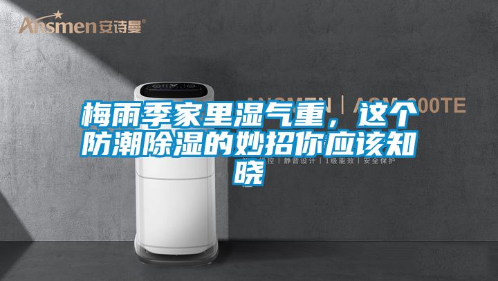 梅雨季家里濕氣重，這個(gè)防潮除濕的妙招你應(yīng)該知曉