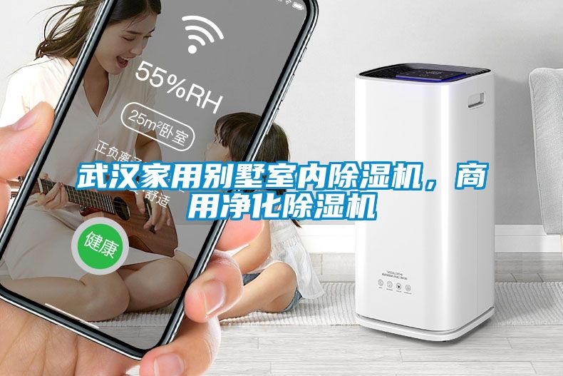 武漢家用別墅室內(nèi)除濕機，商用凈化除濕機