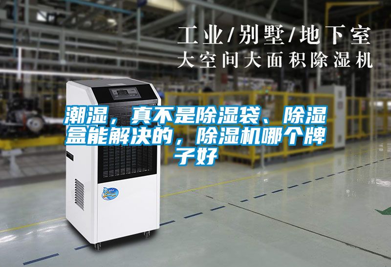 潮濕，真不是除濕袋、除濕盒能解決的，除濕機哪個牌子好