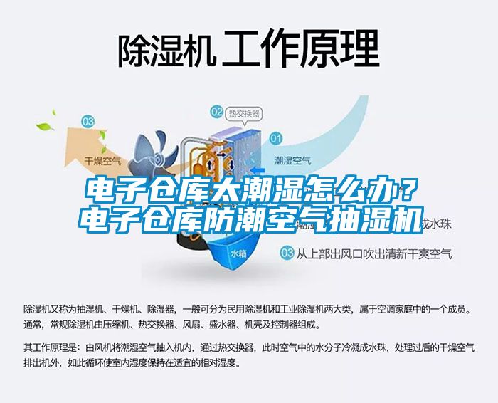 電子倉庫太潮濕怎么辦？電子倉庫防潮空氣抽濕機(jī)