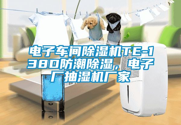 電子車間除濕機(jī)TE-138D防潮除濕，電子廠抽濕機(jī)廠家