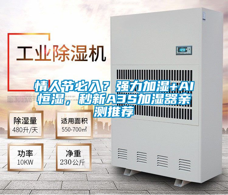情人節(jié)必入？強(qiáng)力加濕+AI恒濕，秒新A3S加濕器親測(cè)推薦